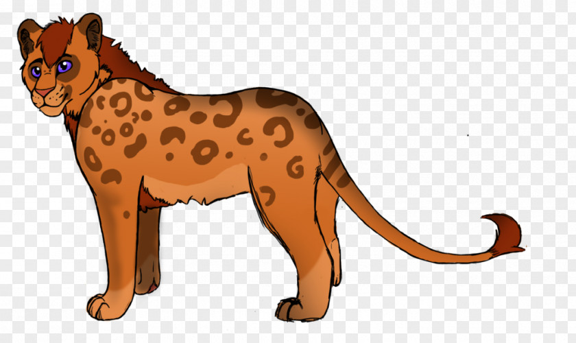 Lion Cheetah Leopard Whiskers Snout PNG