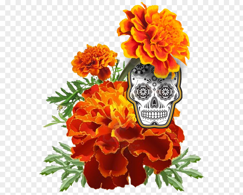 Marigold Mexican Flower Day Of The Dead Stock Photography Calendula Officinalis PNG