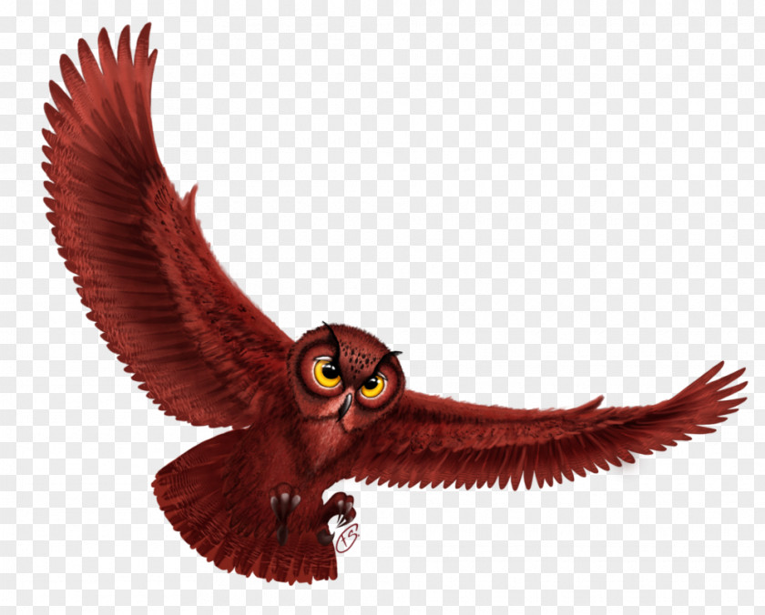 Owl Bird Of Prey Beak Wing Animal PNG