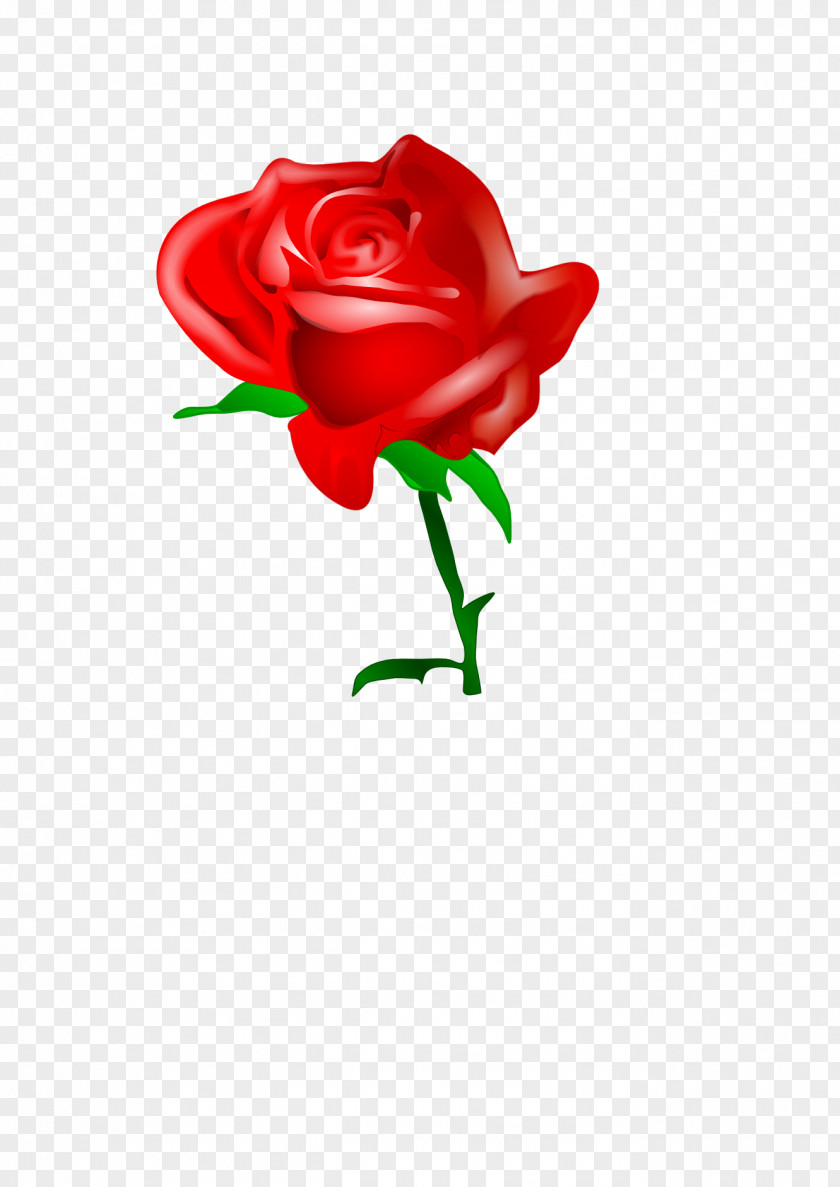 Red Roses Clipart Download Free Content Clip Art PNG