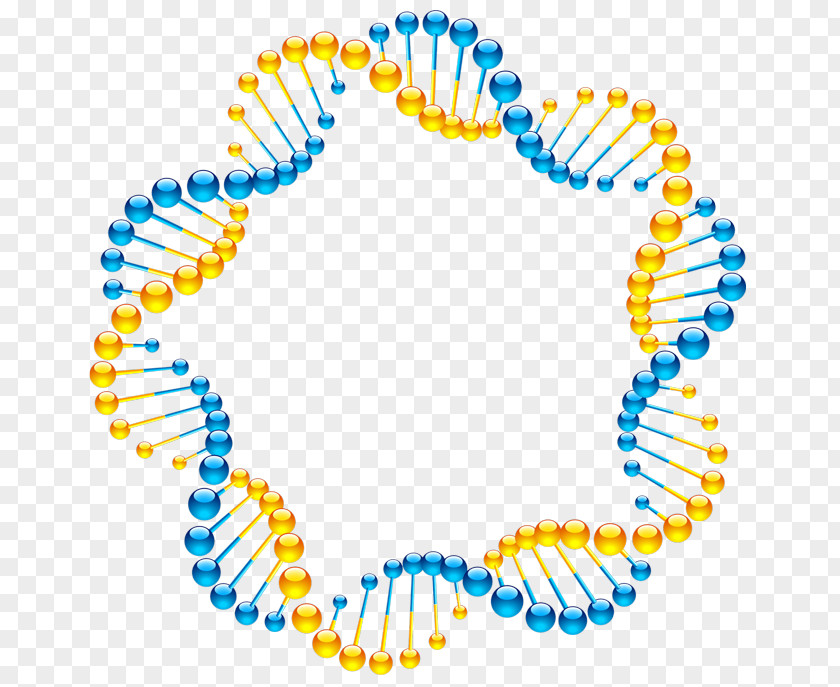 Strand Frame Nucleotide Molecular Models Of DNA Nucleic Acid Double Helix Biology PNG