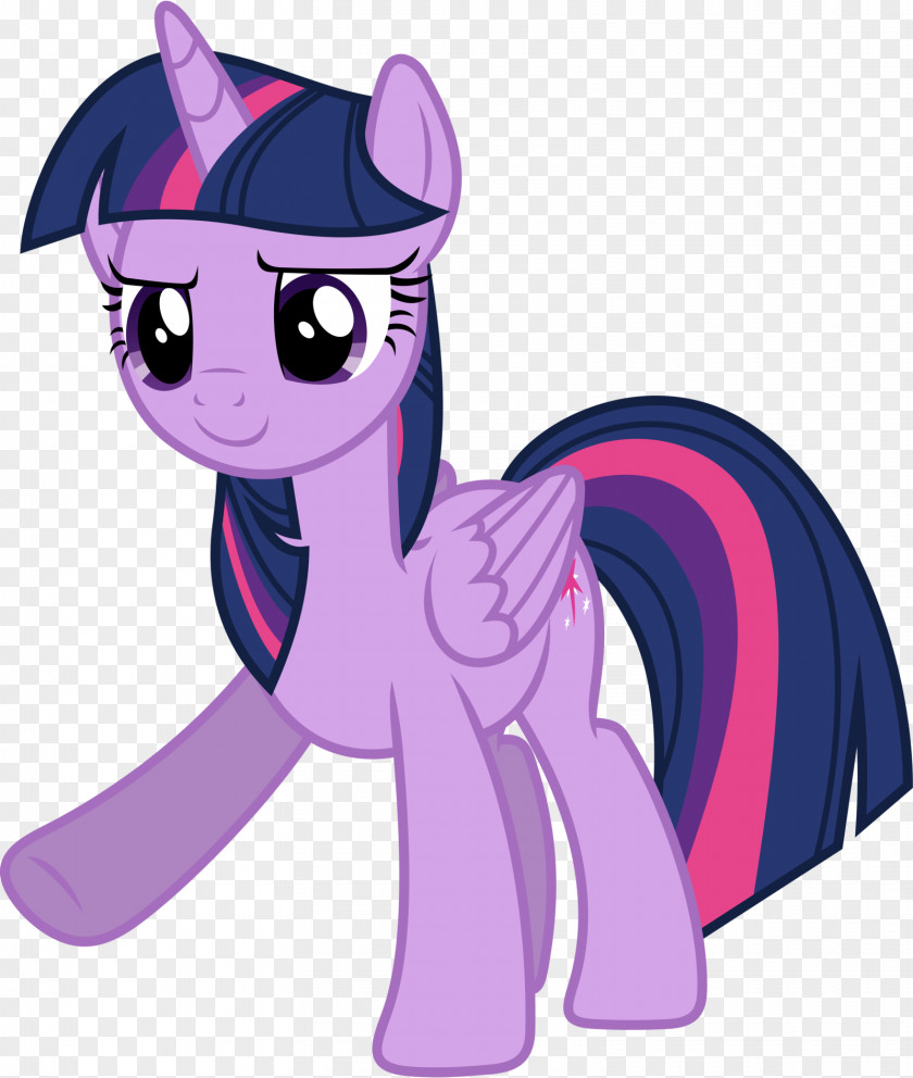 Twilight Sparkle Rainbow Dash Rarity The Saga My Little Pony PNG
