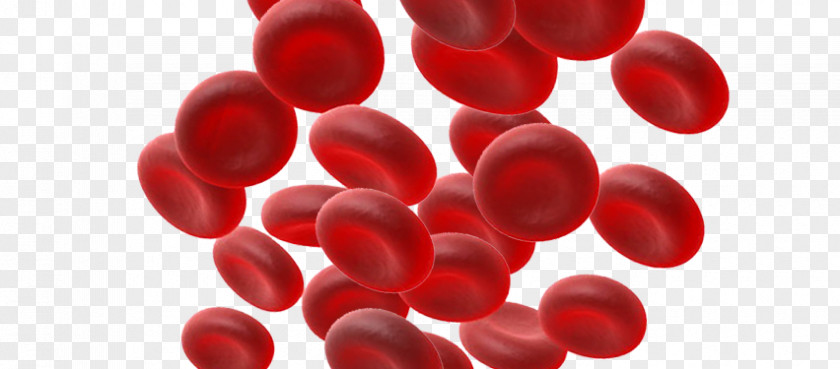 Blood Cells Close-up PNG