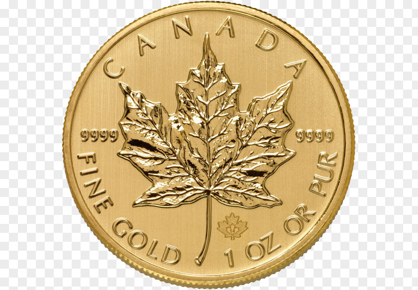 Gold Coin Image Canada Canadian Maple Leaf PNG