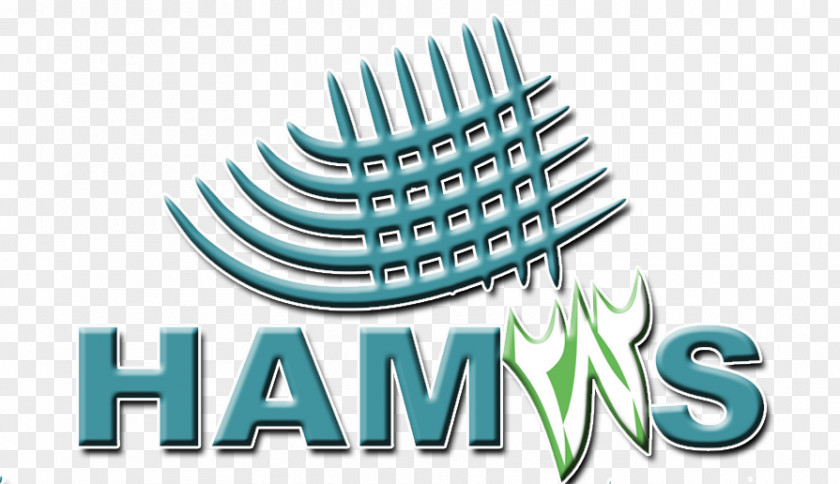 Hamas Himpunan Mahasiswa Jurusan STEI Tazkia Accounting Logo PNG