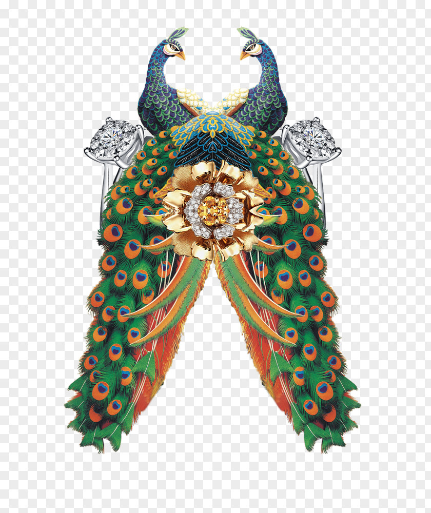 Peacock Graphics Green Peafowl PNG