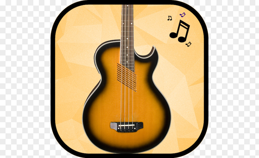 Bass Guitar Musical Instruments Acoustic String PNG