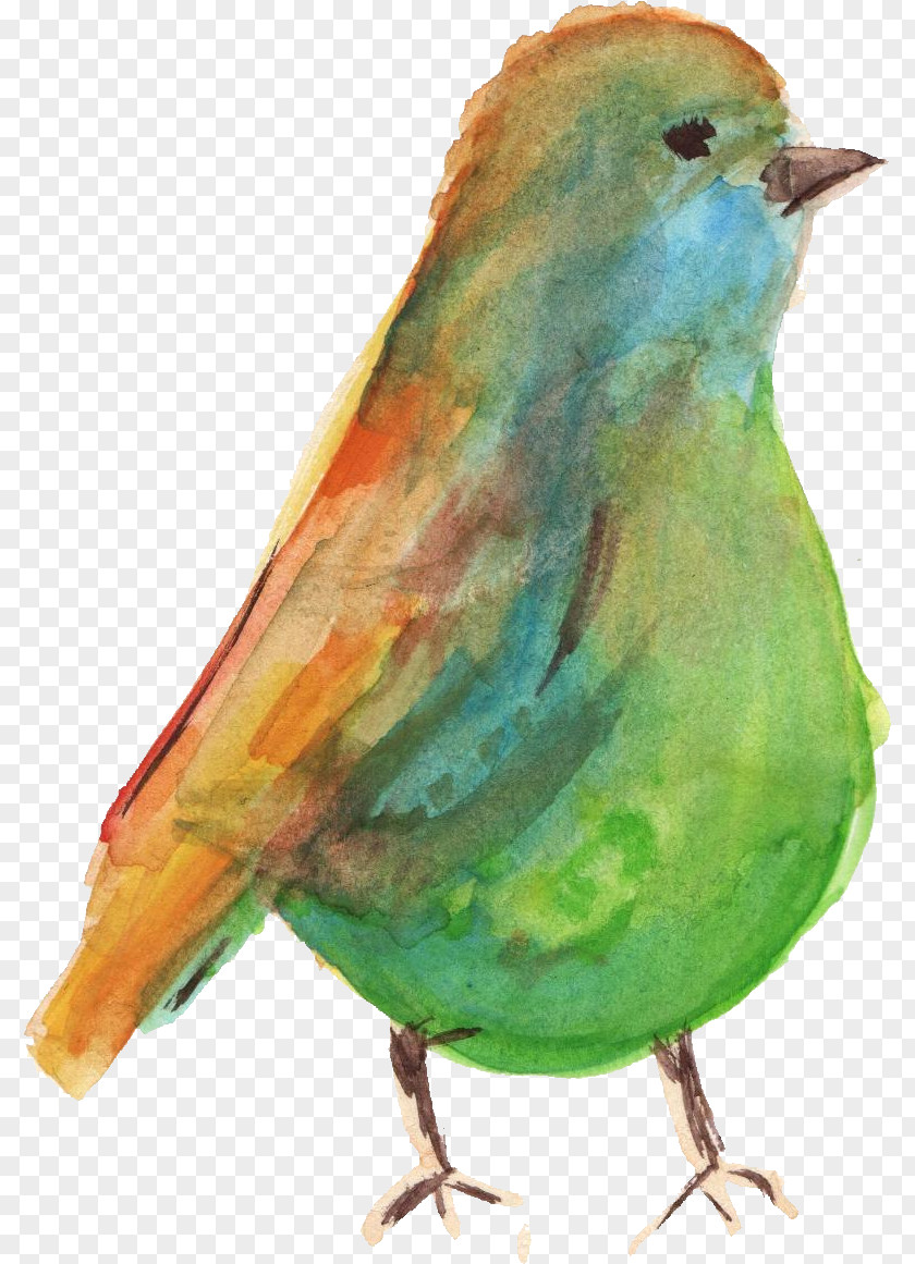 Bird Watercolor Painting PNG