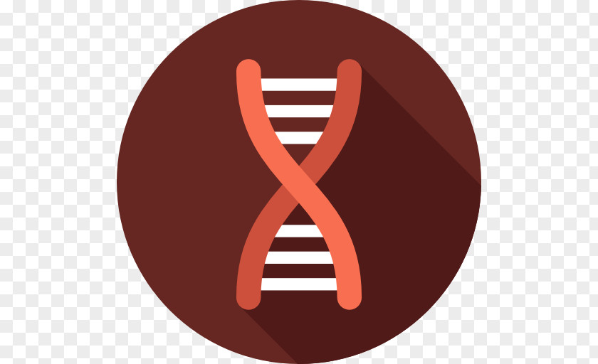 Bone Fracture Biology DNA Epigenetics PNG