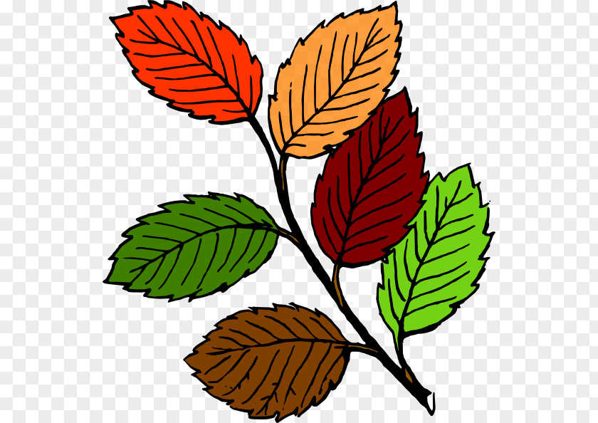 Leaf Clip Art PNG