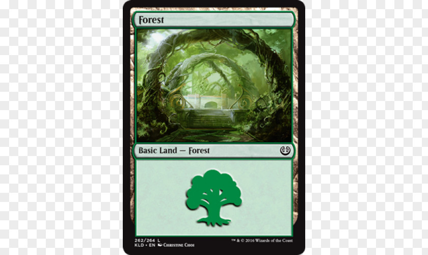 Magic Forest Magic: The Gathering Online Kaladesh Playing Card Amonkhet PNG