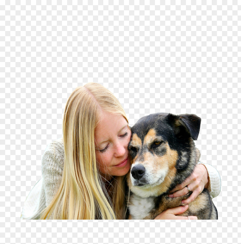 Puppy Dog Breed Love Companion PNG