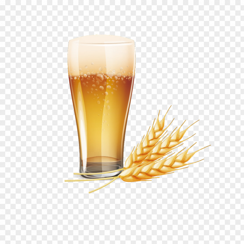 Vector Beer And Wheat PNG