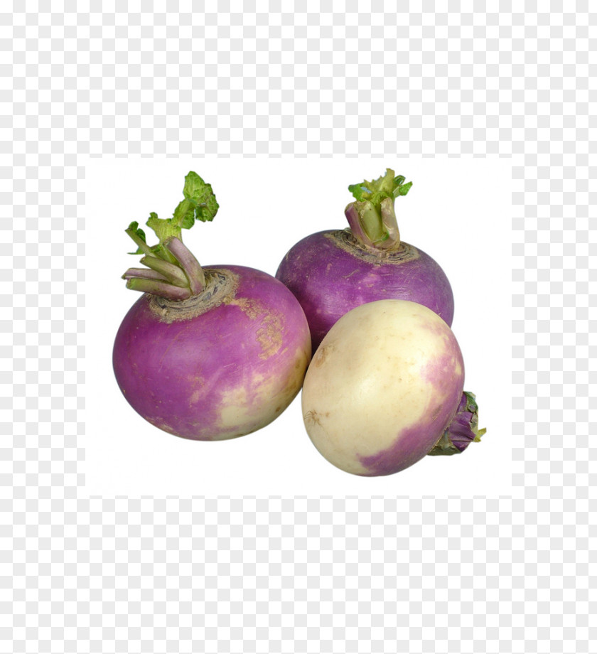 Vegetable Turnip Pasty Daikon Rutabaga PNG