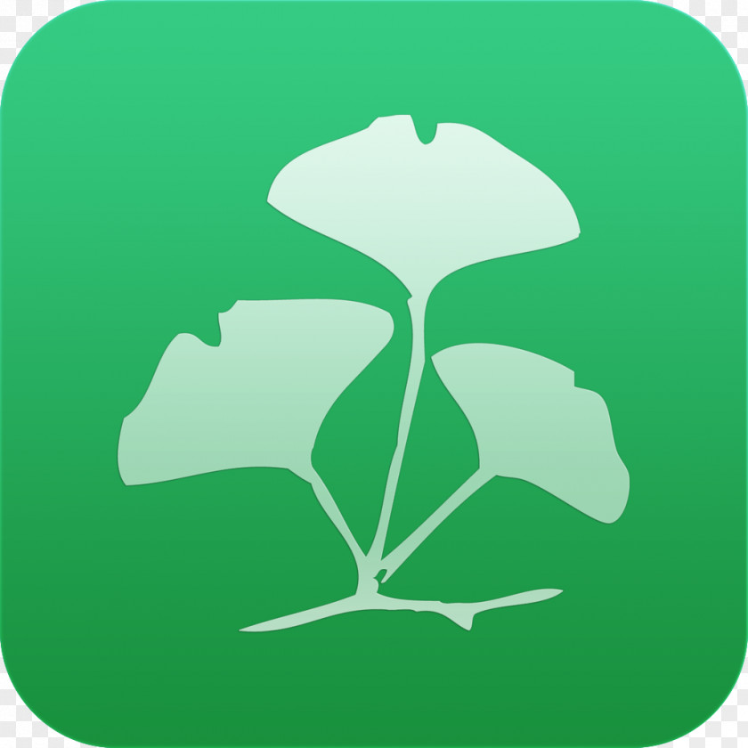 Androidlogo Leaf Flower Clip Art Plant Stem Tree PNG