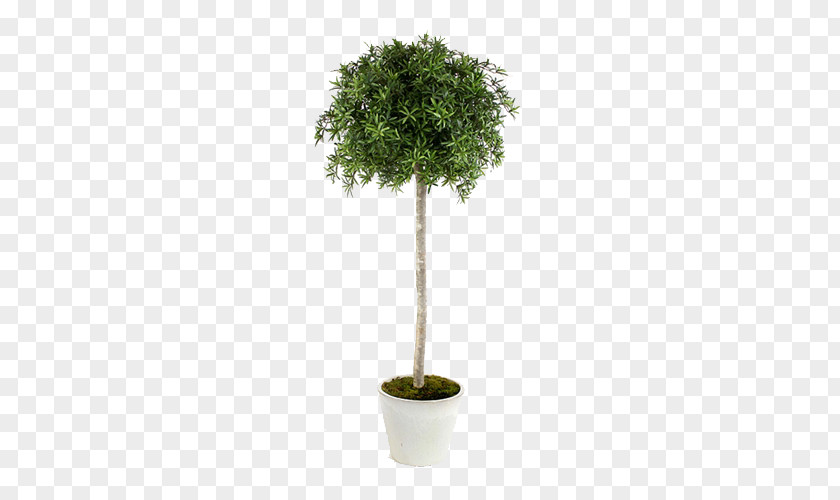 Bulk Of Green Plants Potted Tree Plant PNG of green plants potted tree plant clipart PNG