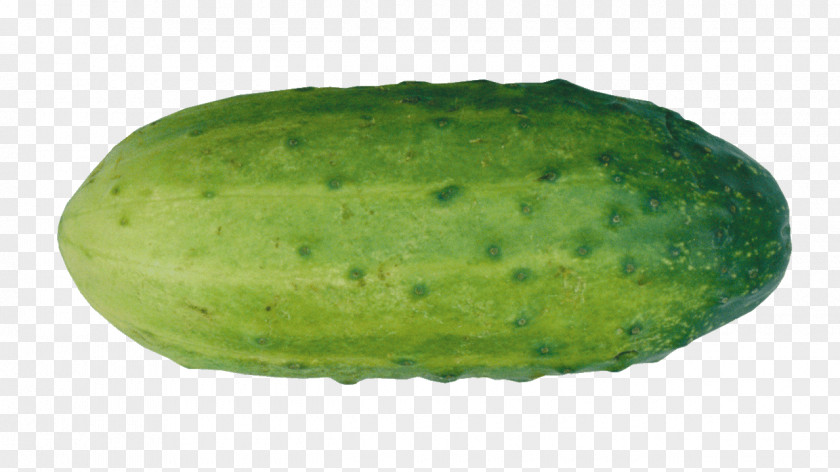 Cucumber Pickled Watermelon Vegetable PNG