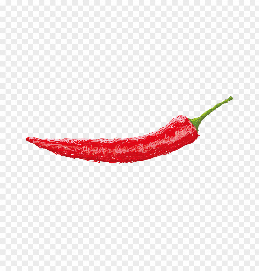 Hand-painted Red Pepper Chili Cayenne Peperoncino PNG