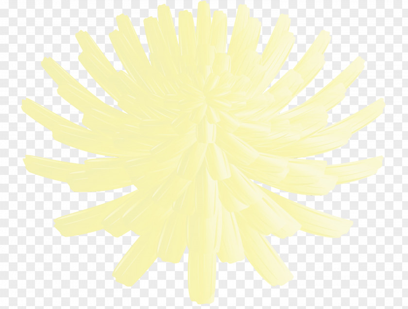 Petal Yellow Flower PNG