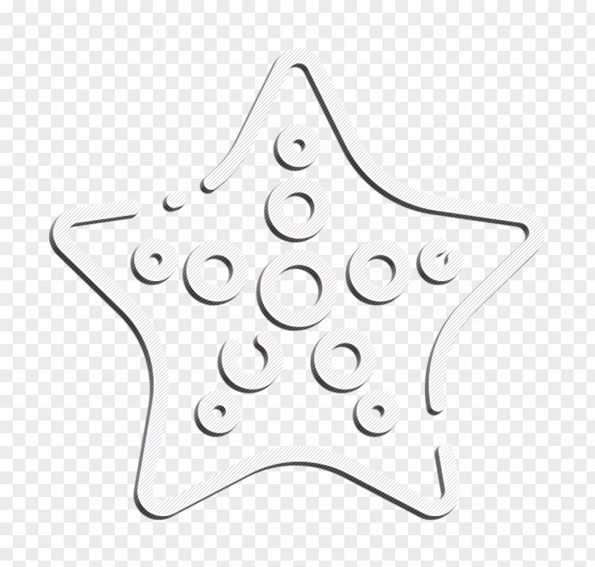 Summer Icon Starfish PNG