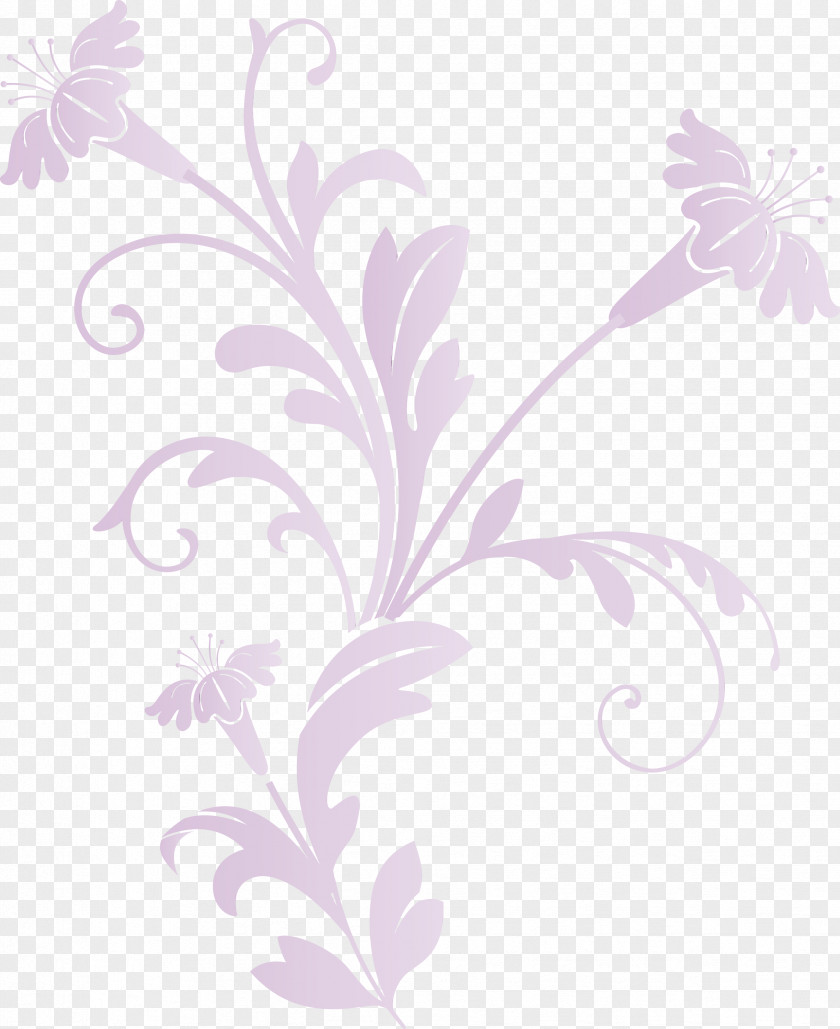 Floral Design PNG