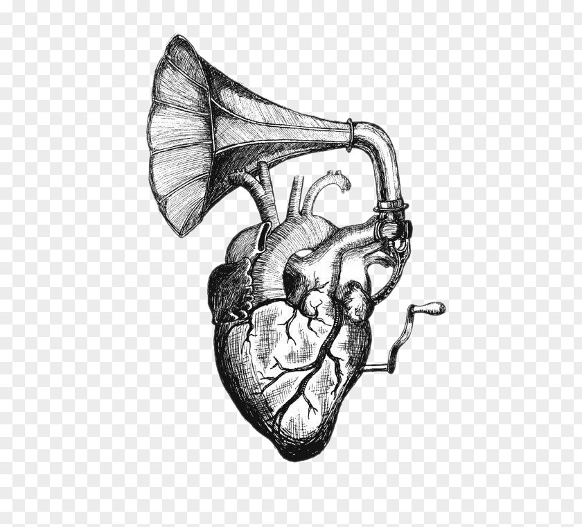 Heart Speaker Sounds Drawing Tattoo Anatomy PNG