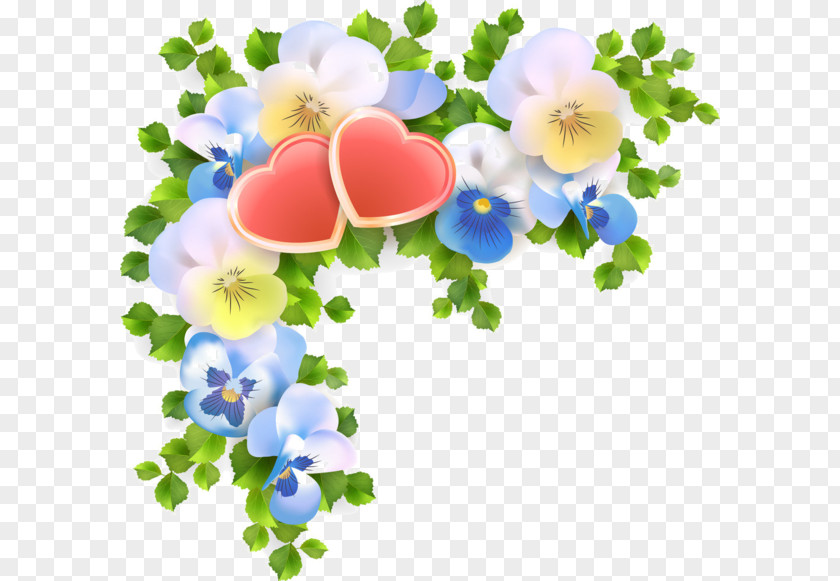 Holland Flower Pansy Clip Art PNG