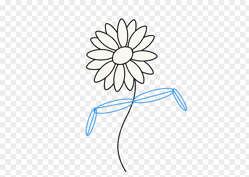 Painting Drawing Common Daisy Line Art Clip PNG