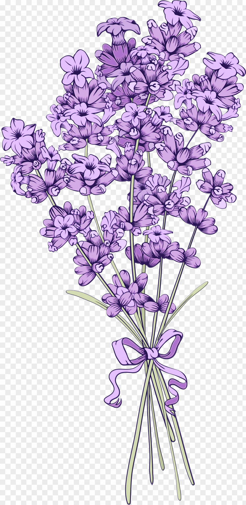 Pedicel Plant Stem Purple Watercolor Flower PNG