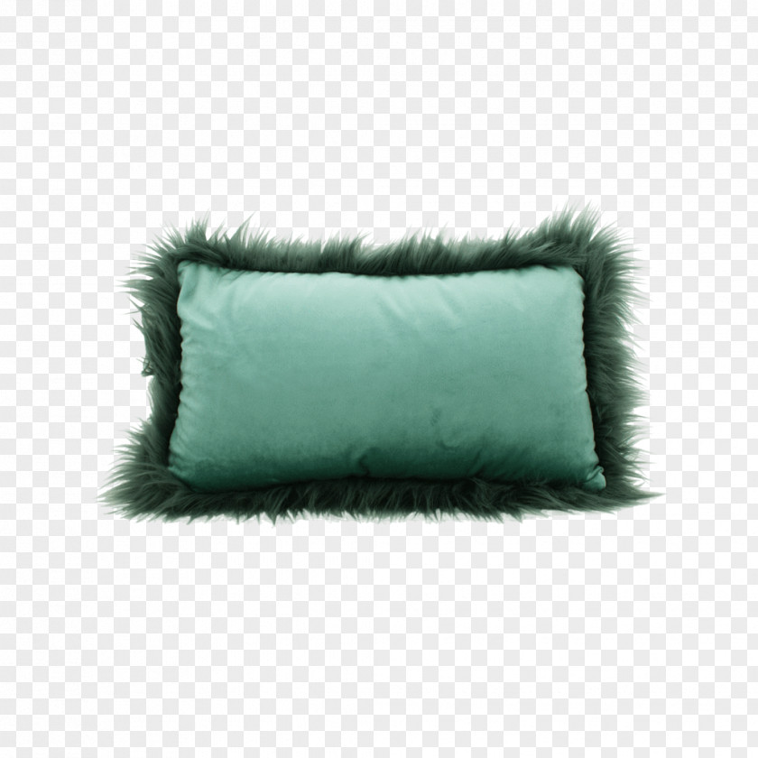 Pillow Cushion Throw Pillows Rectangle Turquoise PNG