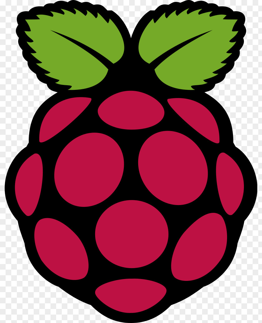 Raspberry Pi Foundation Raspbian Single-board Computer Logo PNG