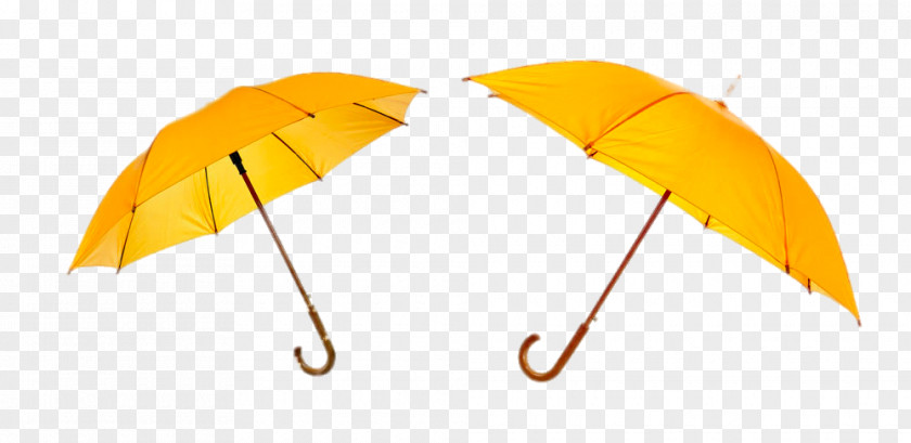 Two Yellow Umbrella Stock Photography PNG