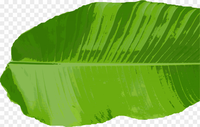 Leaves Banana Leaf Thai Cuisine Clip Art PNG