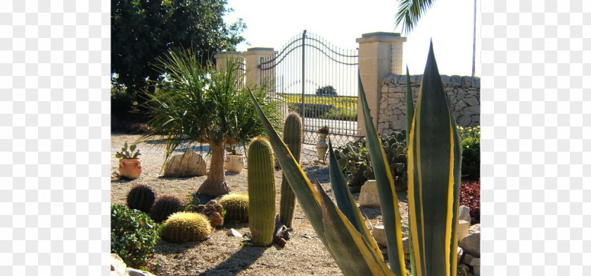 Private Villa Majorelle Garden Blue Cactaceae Citroën Cactus M Property PNG