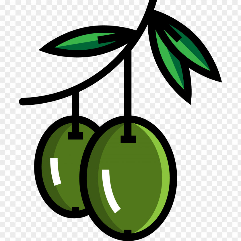 Aceituna Vector Olive Oil PNG