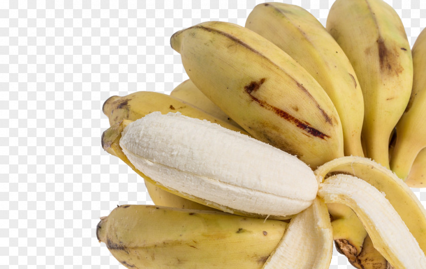 Banana Flavored Milk Saba PNG