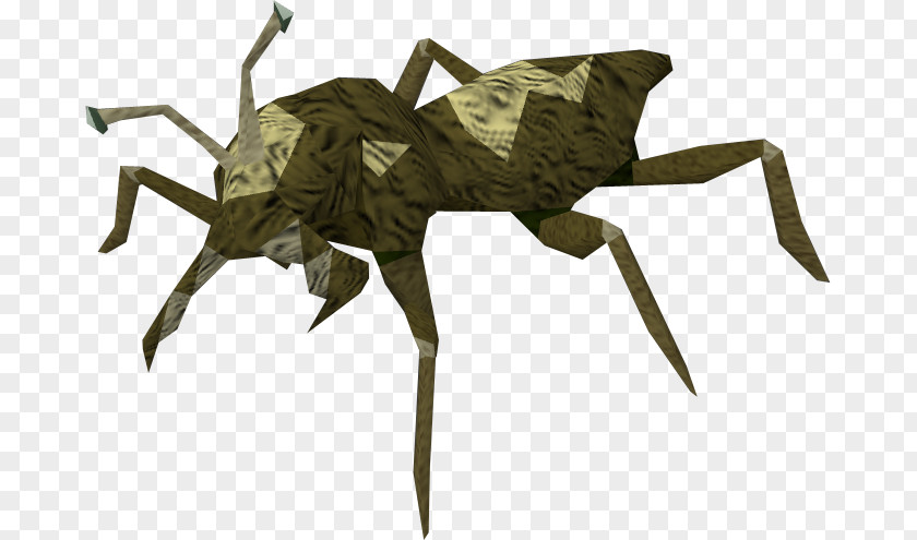 Beetle RuneScape Bed Bug Wikia Cave PNG