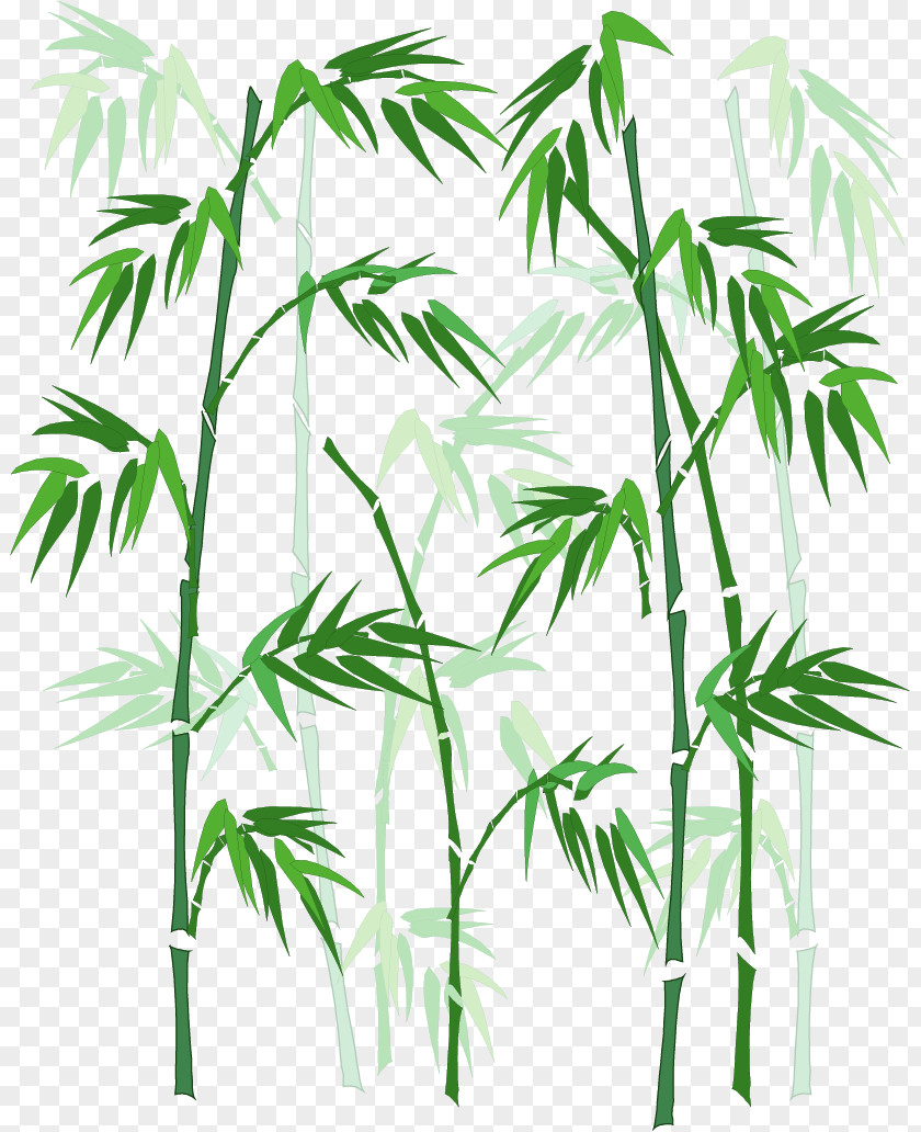Vector Hand-painted Bamboo PNG