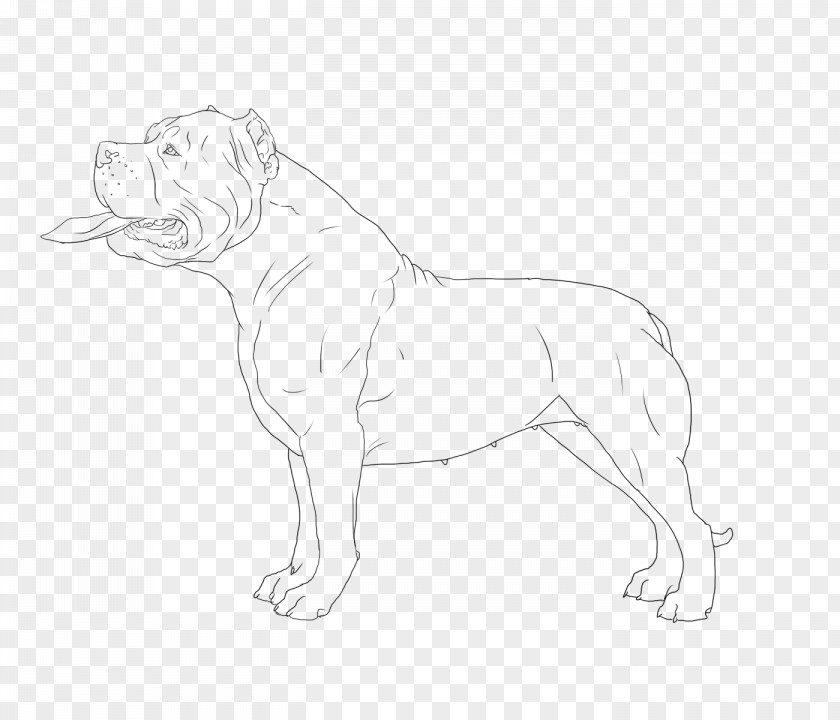 Dog Breed Non-sporting Group (dog) Sketch PNG
