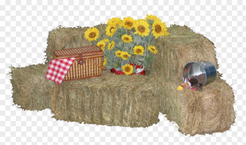 Hay Straw-bale Construction Baler Straw Bale PNG