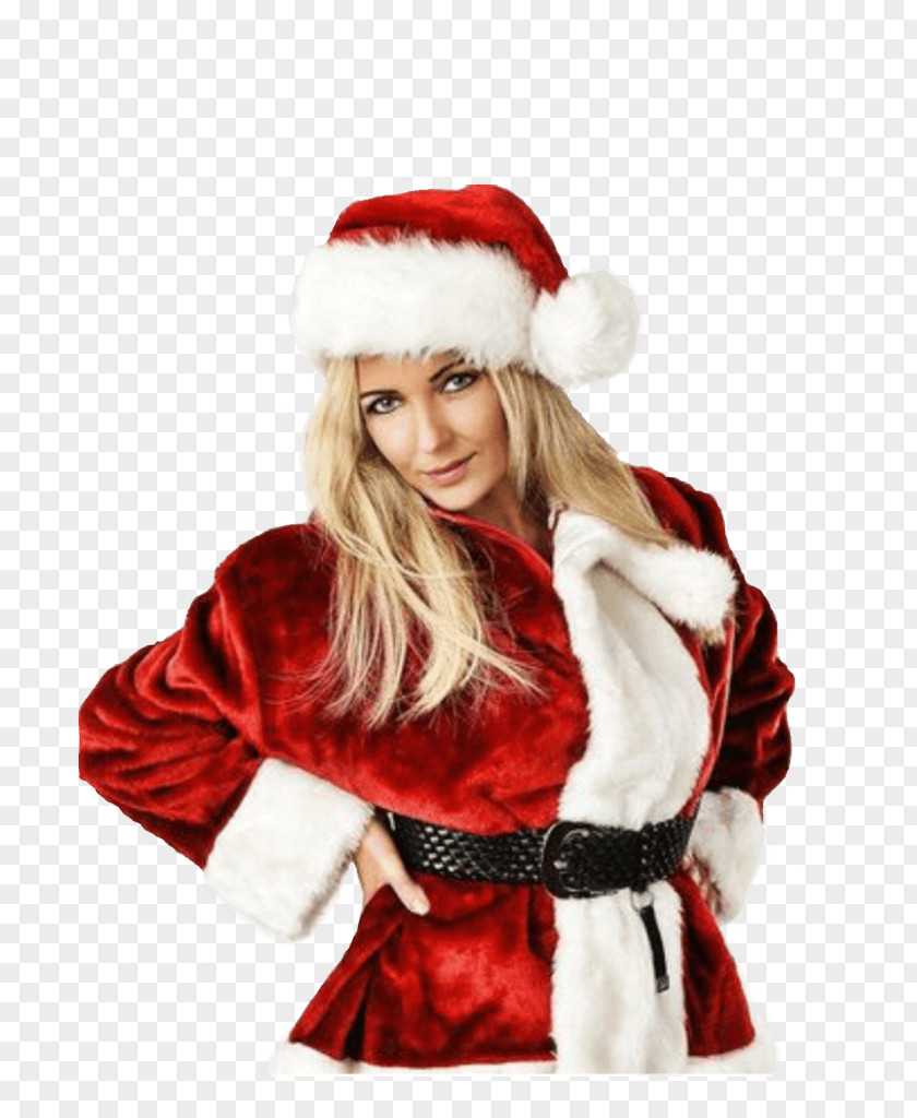 Santa Claus Christmas Ornament Fur Clothing PNG