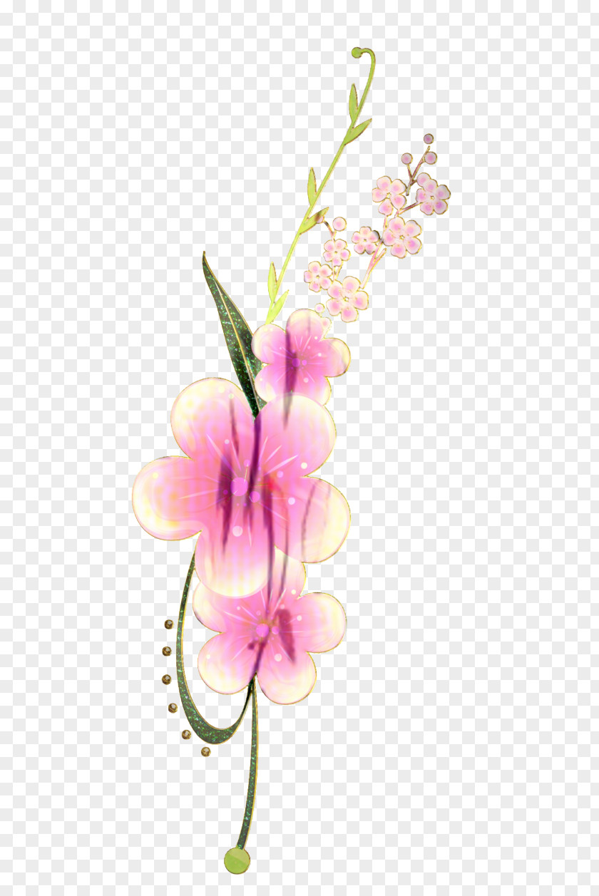 Sweet Peas Clary Flowers Background Free PNG