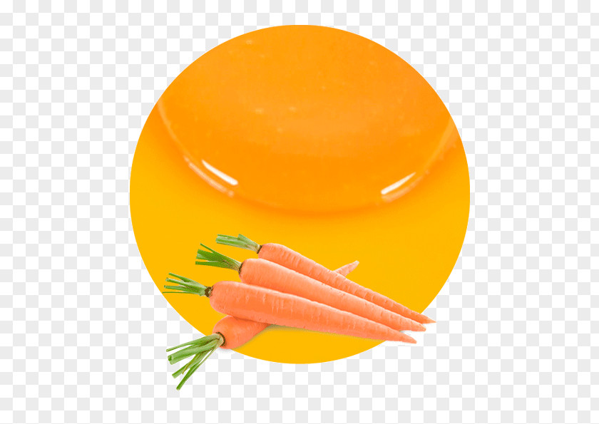 Carrot Juice Maker Vegetable Vegetarian Cuisine PNG