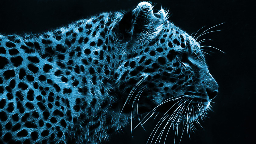Cheetah Desktop Wallpaper High-definition Video Television 1080p Display Resolution PNG