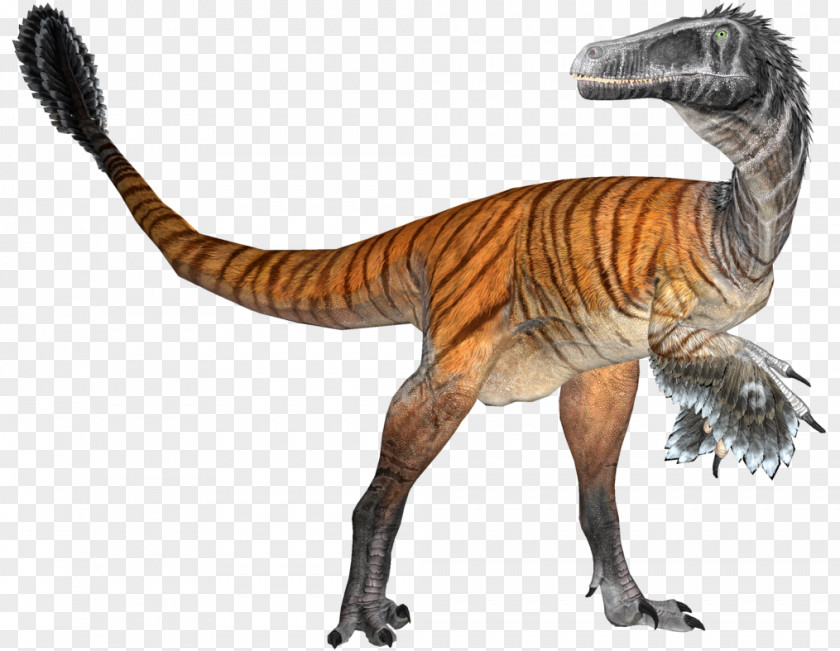 Dinosaur Group Velociraptor Tyrannosaurus Extinction Kaprosuchus Crocodylomorpha PNG