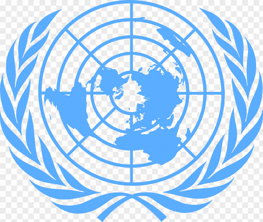 Organization United Nations Secretariat Development Group Flag Of The Convention On Rights Persons With Disabilities PNG