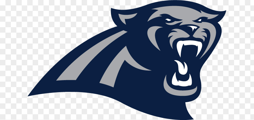 Panther Head 2017 Carolina Panthers Season NFL Buffalo Bills Georgia State Football PNG