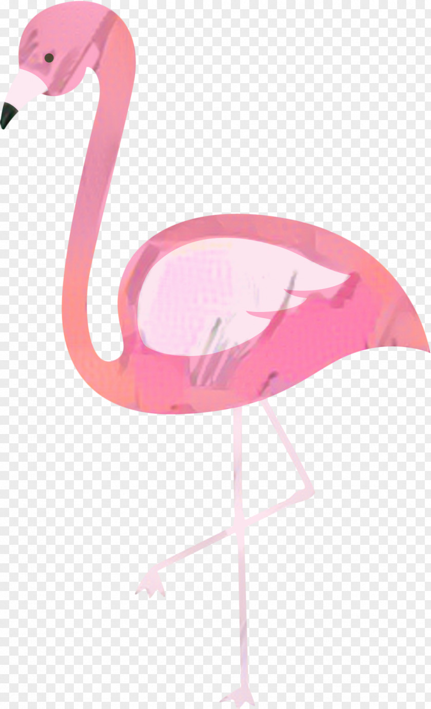Ciconiiformes Stork Pink Flamingo PNG