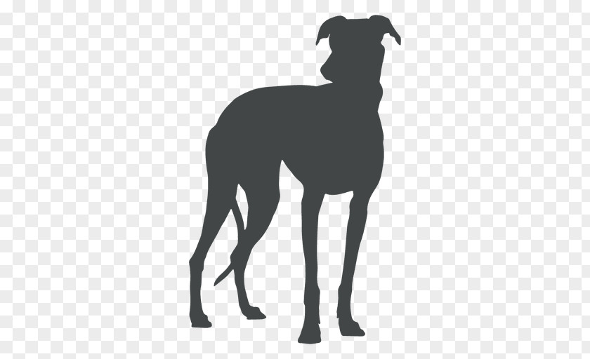 Dog Painting Great Dane Italian Greyhound Spanish Sloughi PNG