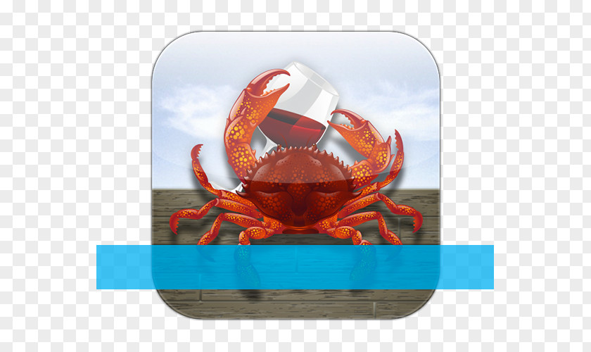 Dungeness Crab Computer Icons Icon Design Wine Seafood PNG crab design Seafood, wine and seafood clipart PNG